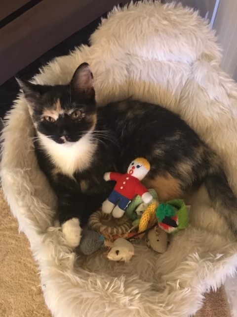 Kali
