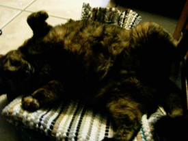 pepper