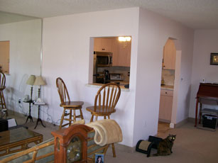 new living room